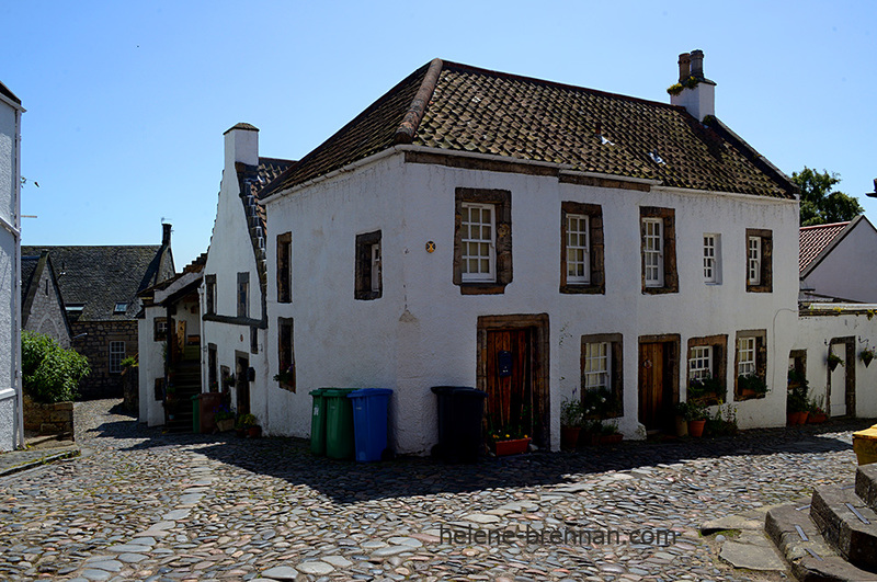 Culross 8889 Photo