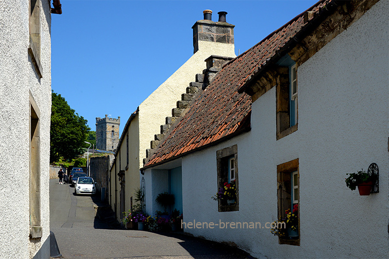 Culross 8896 Photo