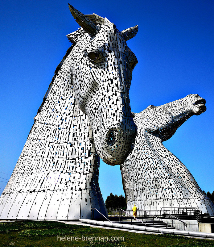 Kelpies  4943 Photo