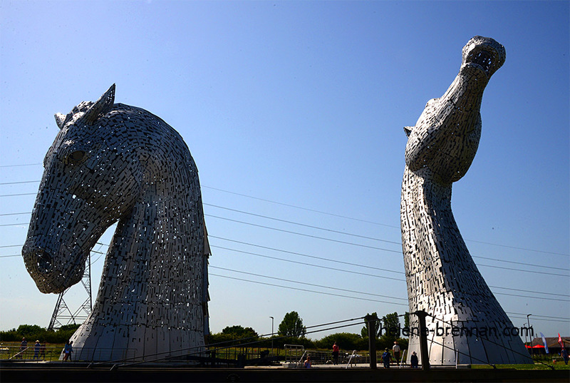 Kelpies  8938 Photo